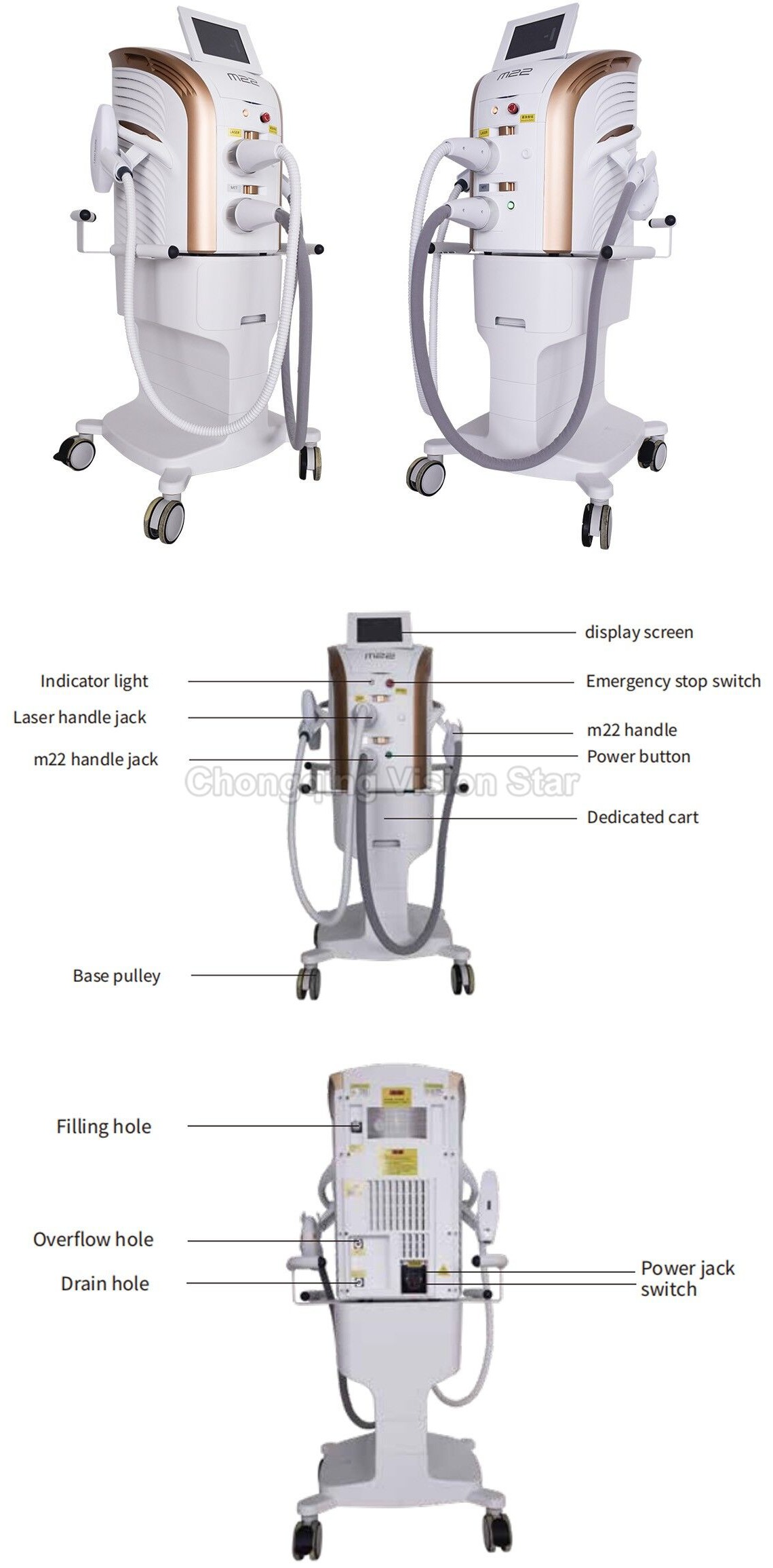 Hyb Alt31